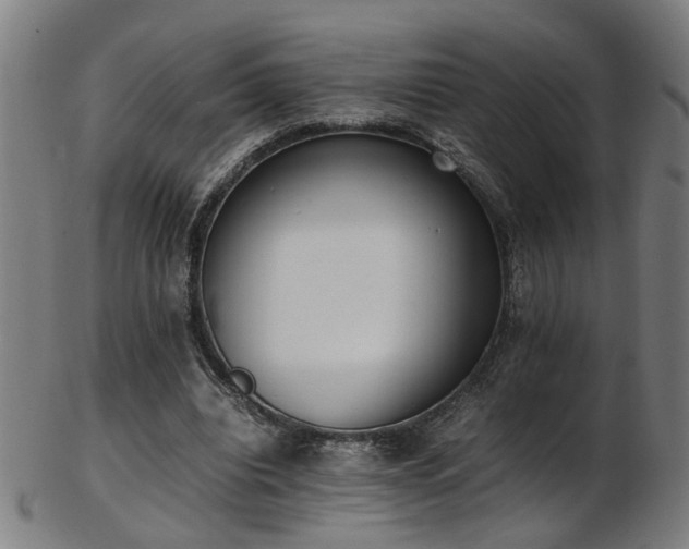X0000103430440200809121333