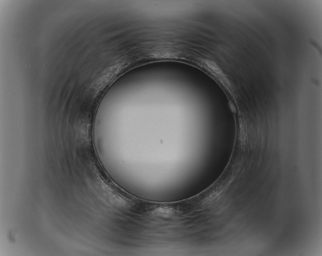 X0000103430441200809121333
