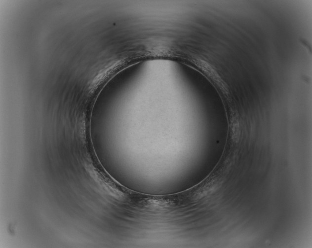 X0000103430442200809121333