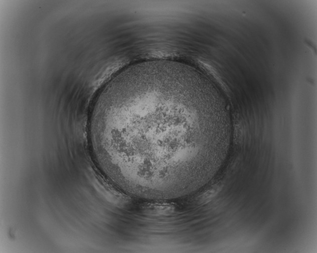 X0000103430443200809121333