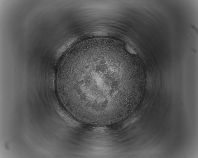 X0000103430446200809121333