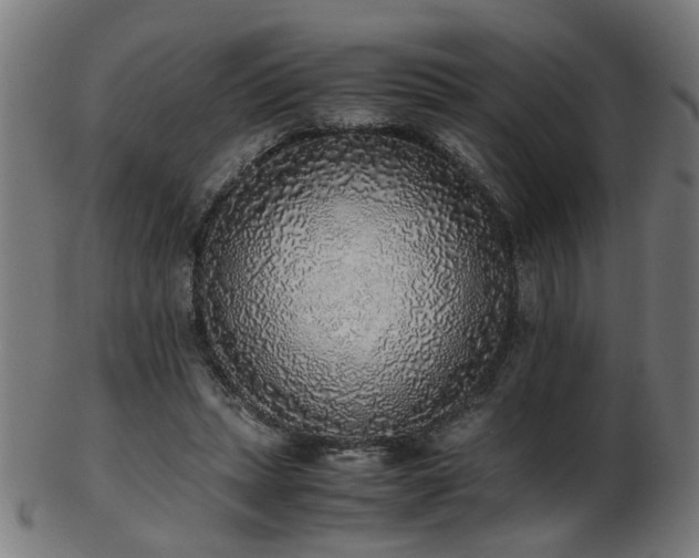 X0000103430447200809121333
