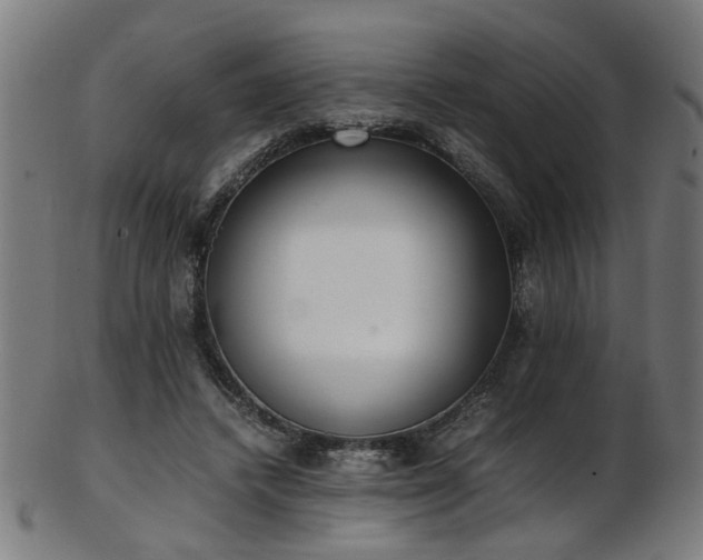 X0000103430448200809121333