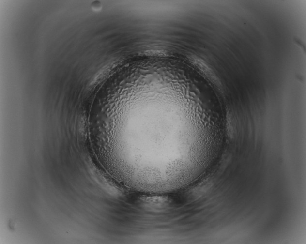 X0000103430449200809121333