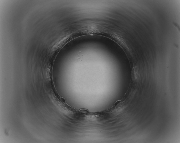 X0000103430450200809121333