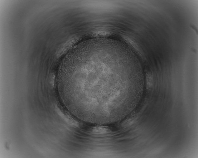 X0000103430451200809121333