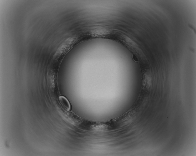 X0000103430452200809121333
