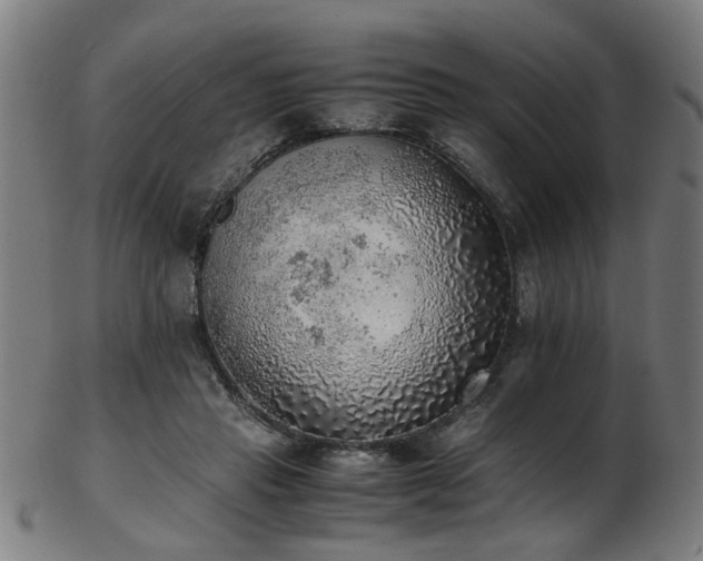 X0000103430453200809121333