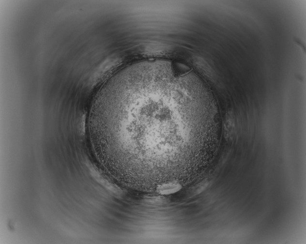 X0000103430454200809121333