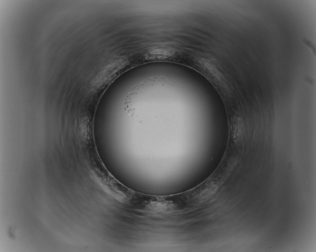 X0000103430455200809121333