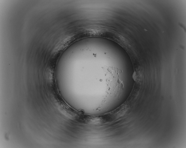 X0000103430456200809121333