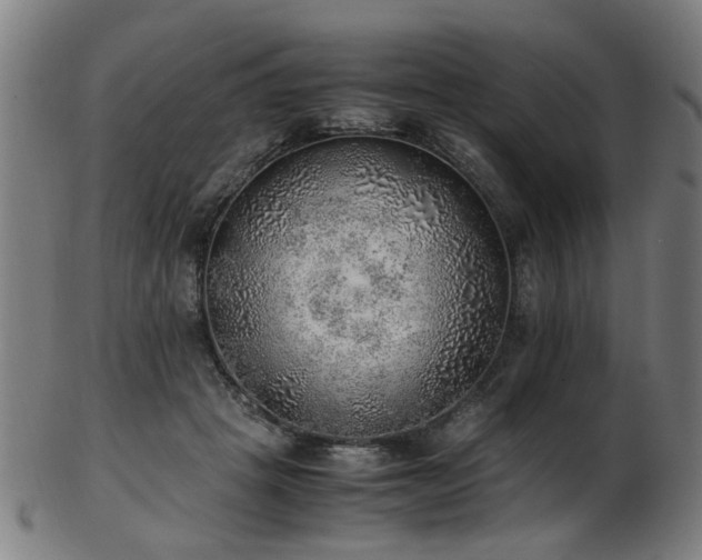 X0000103430457200809121333