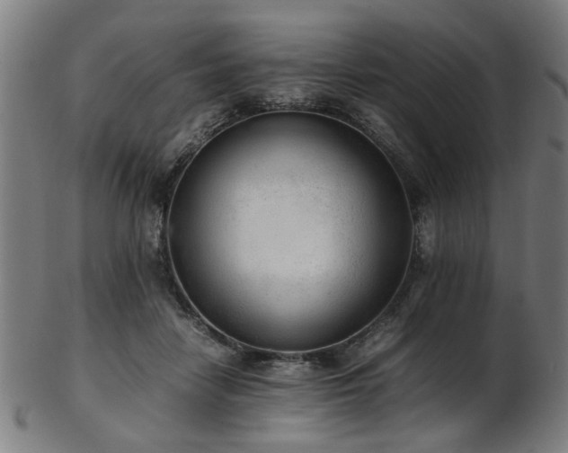 X0000103430458200809121333