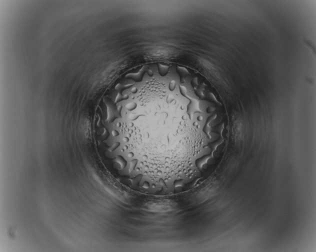 X0000103430459200809121333