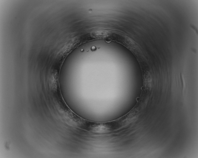X0000103430460200809121333