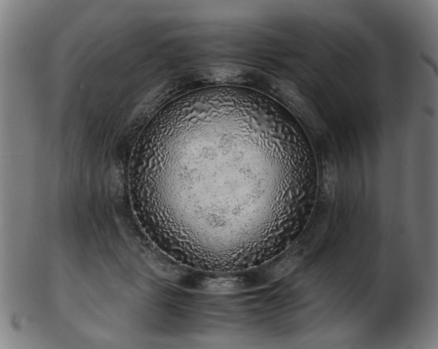 X0000103430461200809121333