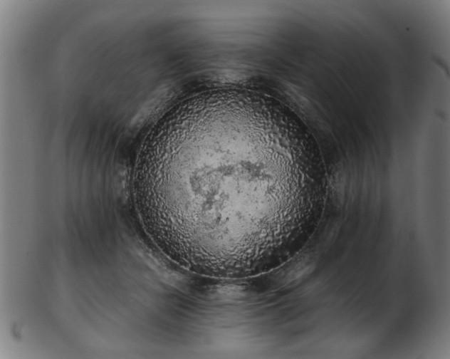 X0000103430462200809121333
