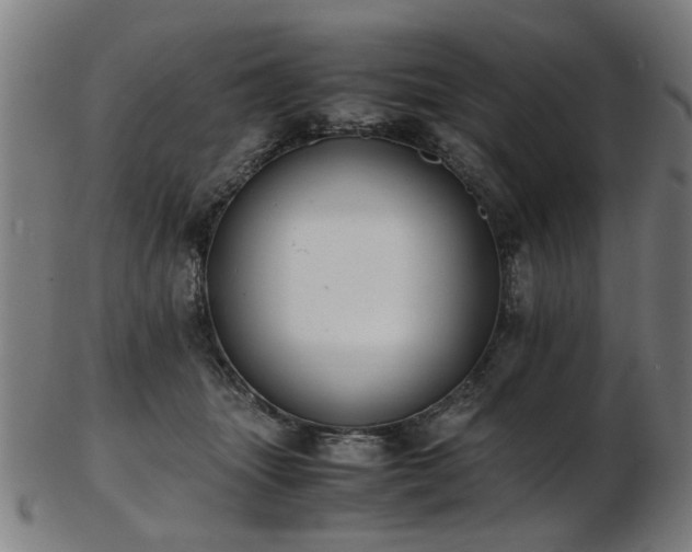 X0000103430463200809121333