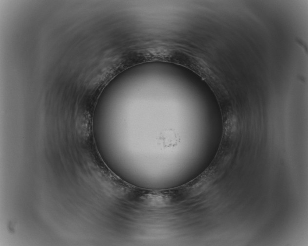 X0000103430464200809121333