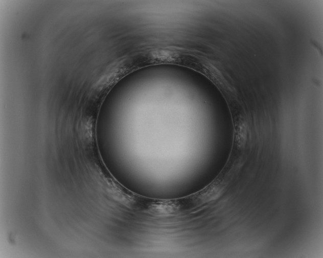 X0000103430466200809121333
