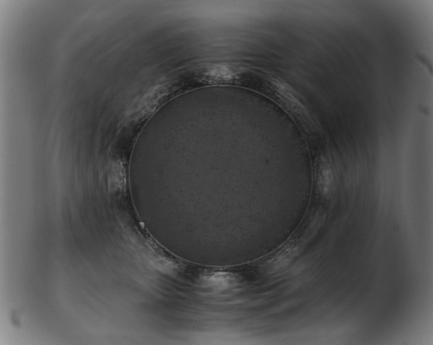 X0000103430467200809121333