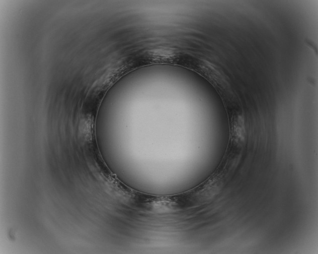 X0000103430468200809121333