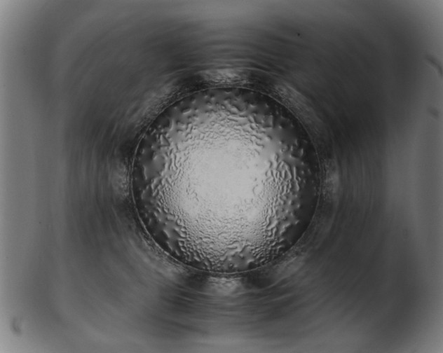 X0000103430469200809121333