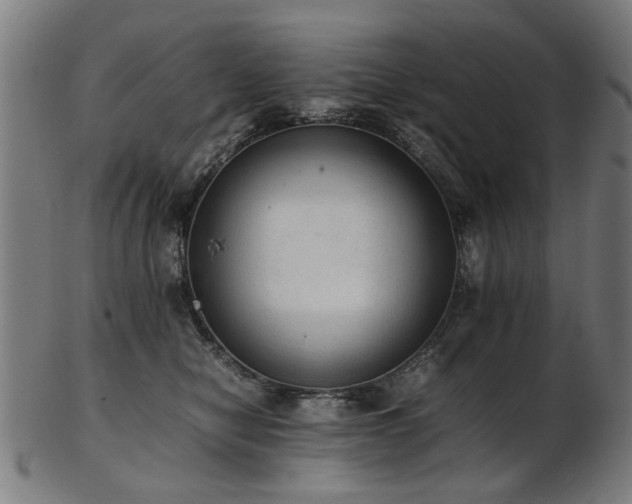 X0000103430470200809121333