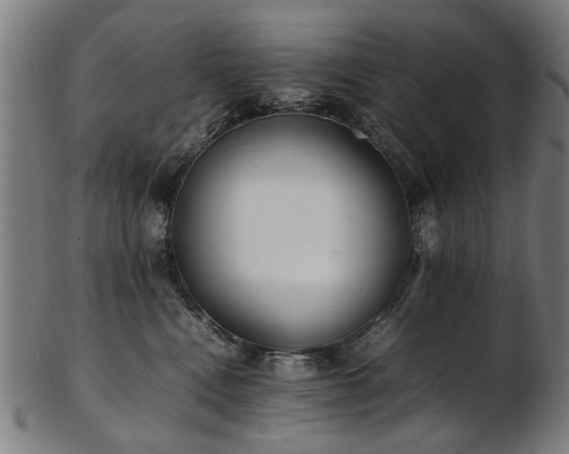 X0000103430472200809121333