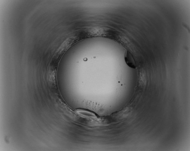 X0000103430473200809121333