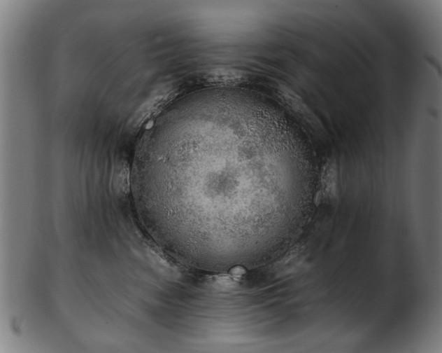 X0000103430474200809121333