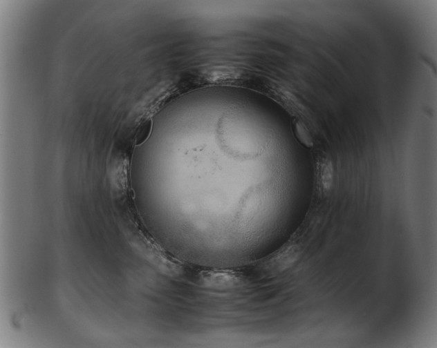 X0000103430475200809121333
