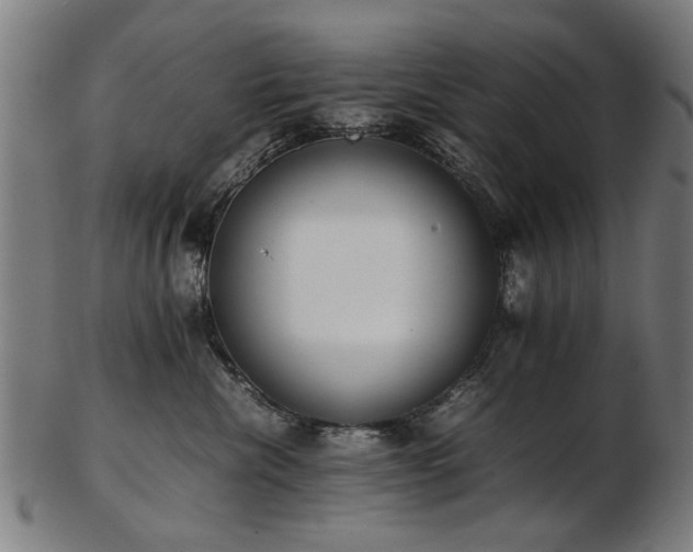 X0000103430476200809121333