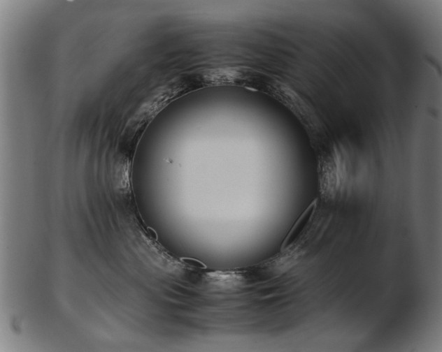 X0000103430477200809121333