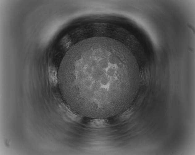 X0000103430479200809121334