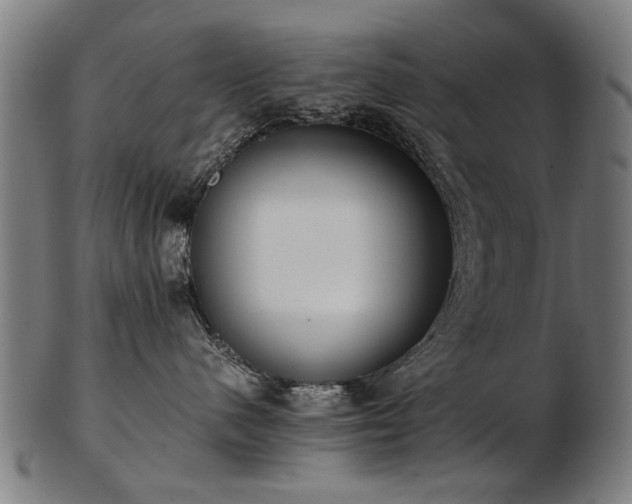 X0000103430480200809121334