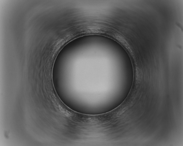 X0000103430481200809121333