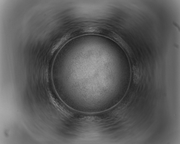 X0000103430482200809121333