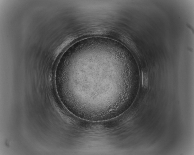 X0000103430483200809121333
