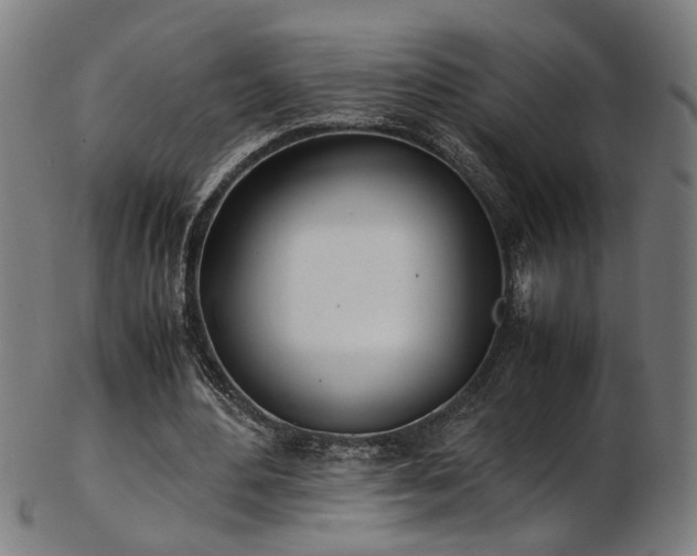 X0000103430484200809121333