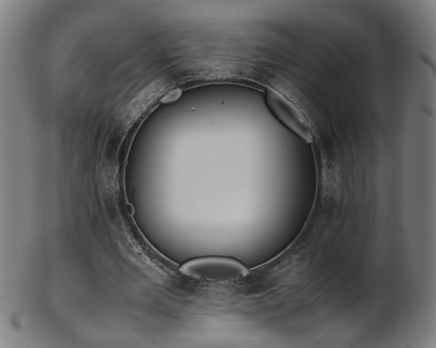 X0000103430485200809121333