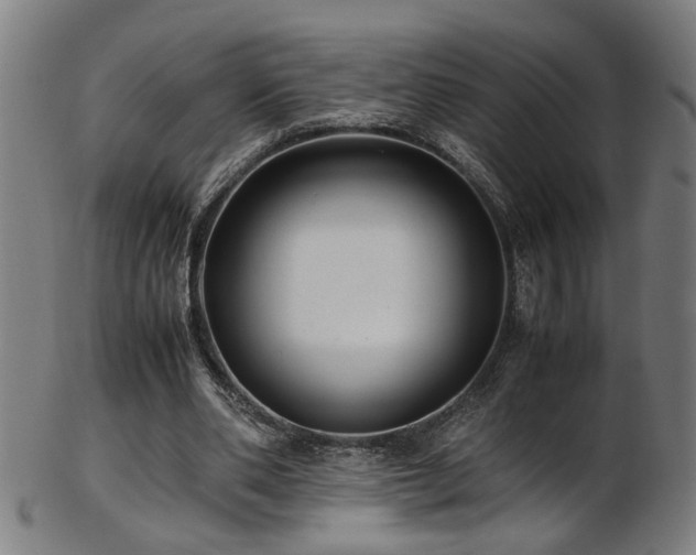 X0000103430486200809121333