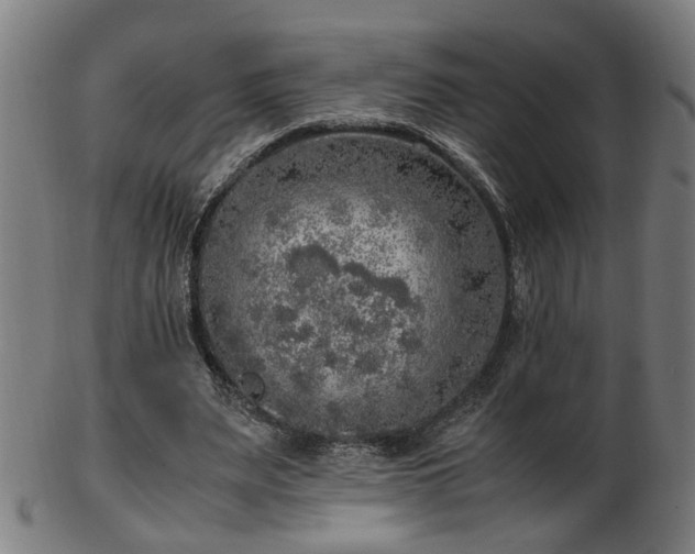 X0000103430487200809121333