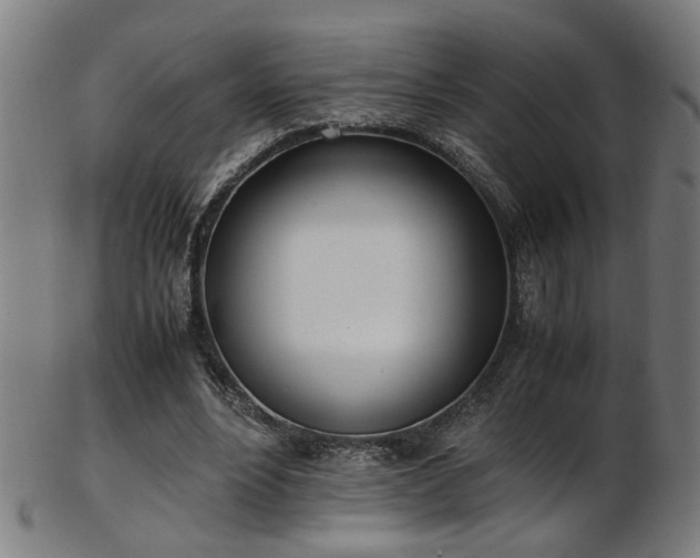 X0000103430488200809121333