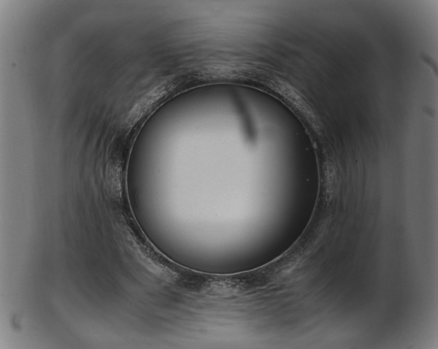 X0000103430489200809121333