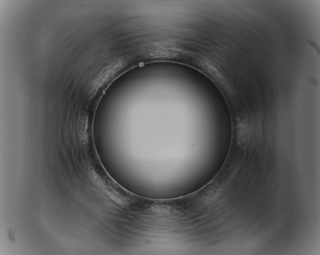X0000103430490200809121333