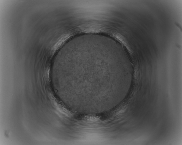 X0000103430491200809121333
