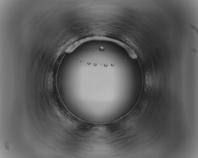 X0000103430492200809121333