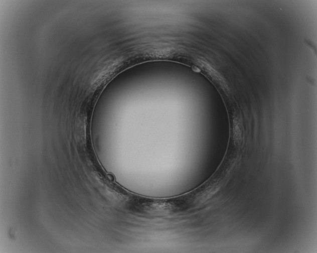 X0000103430493200809121333