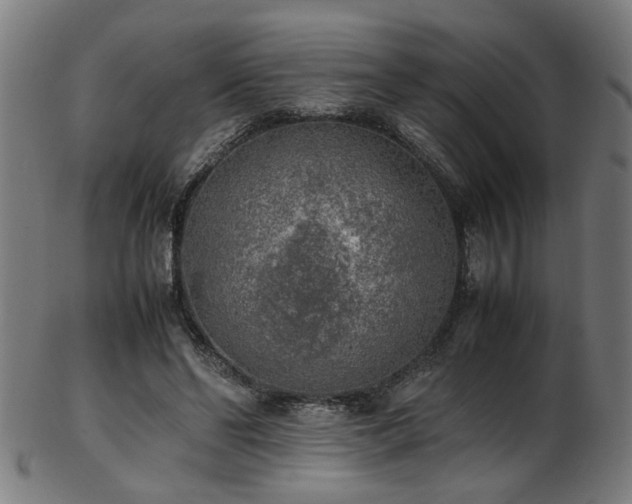 X0000103430494200809121333